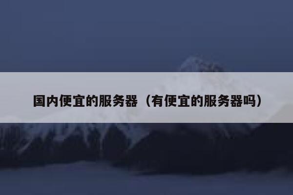 国内便宜的服务器（有便宜的服务器吗）