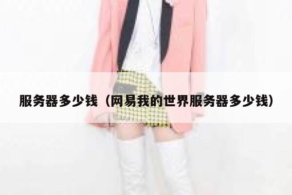 服务器多少钱（网易我的世界服务器多少钱）