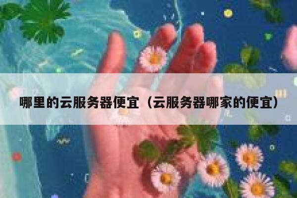哪里的云服务器便宜（云服务器哪家的便宜）