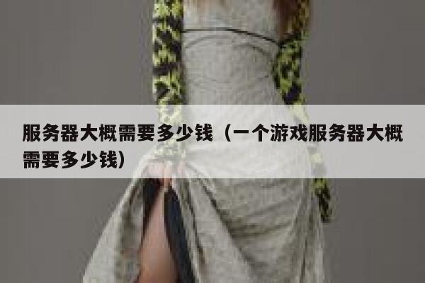服务器大概需要多少钱（一个游戏服务器大概需要多少钱）