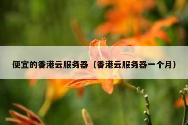 便宜的香港云服务器（香港云服务器一个月）