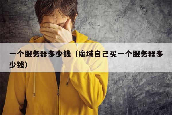 一个服务器多少钱（魔域自己买一个服务器多少钱）