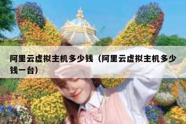 阿里云虚拟主机多少钱(阿里云虚拟主机多少钱一台)