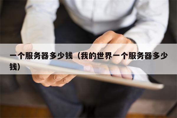 一个服务器多少钱（我的世界一个服务器多少钱）
