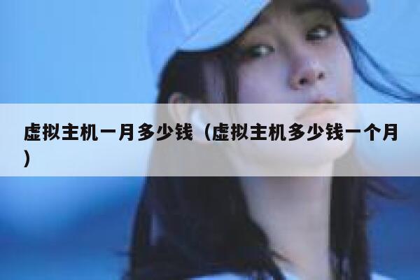 虚拟主机一月多少钱（虚拟主机多少钱一个月）
