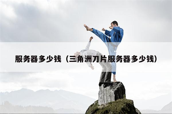 服务器多少钱（三角洲刀片服务器多少钱）