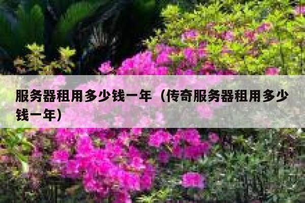 服务器租用多少钱一年(传奇服务器租用多少钱一年)