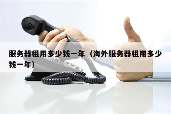 服务器租用多少钱一年（海外服务器租用多少钱一年）